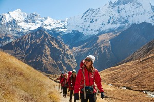 Sustainability Leadership Case Study - Intrepid Travel